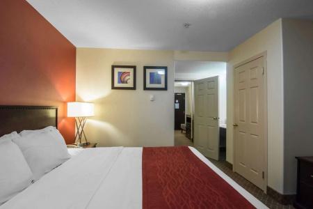 Comfort Inn & Suites Airport South - 43
