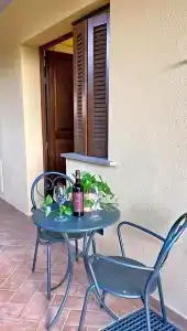 Le Querciolaie dei Ricci - 30