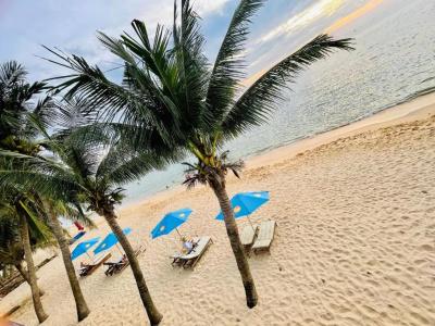 Orange Resort - 255