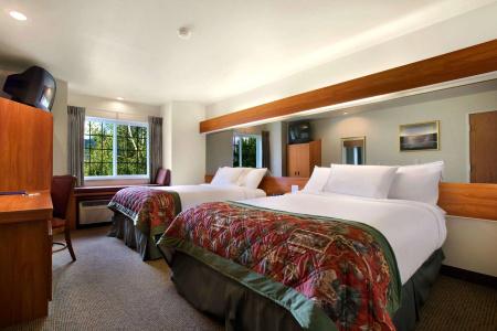 Microtel Inn & Suites by Wyndham - 3