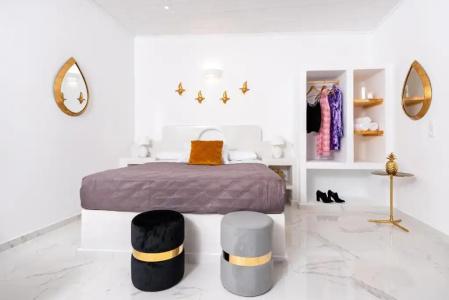 Petri Suites - 117