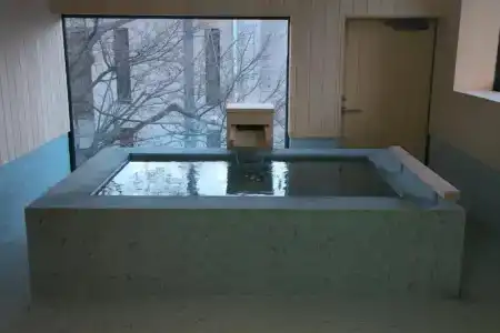 Arima Onsen Takayamaso Hanano - 19