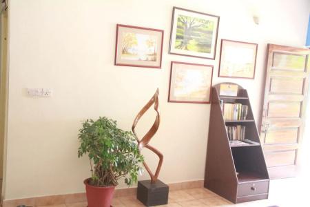 Senhor Angelo Goa - 10
