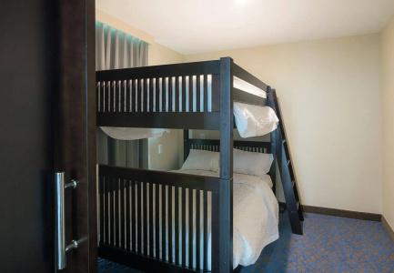 SpringHill Suites by Marriott Fossil Creek - 44