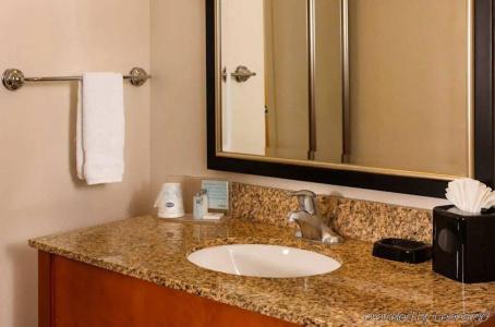 Hampton Inn & Suites Houston-Medical Center-Nrg Park - 8