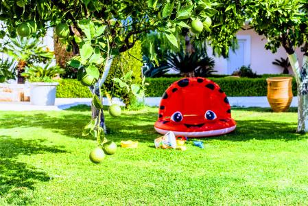 Yiannis Manos Resort - 25