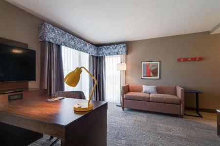 Hampton Inn & Suites by Hilton Nashville North Skyline - 44