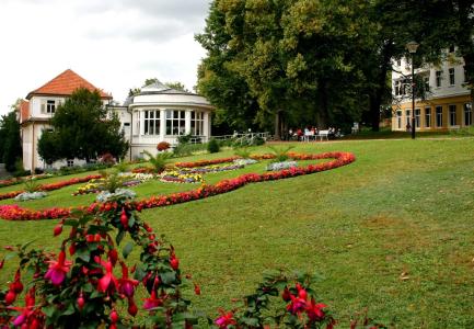 KulturKaiserhof - 15