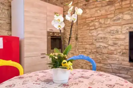 Palazzo Rivola - 142