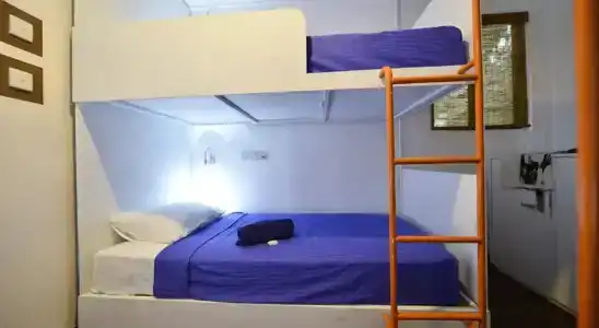 Hangover Hostels - 4