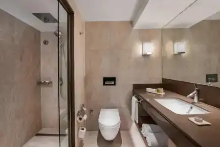 Renaissance Polat Istanbul - 77