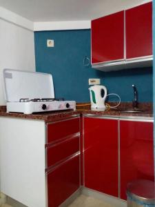Dalyan Tulip Apart - 21