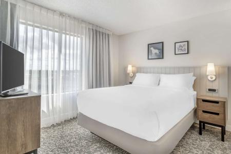 Sonesta Es Suites San Antonio Downtown Alamo Plaza - 78