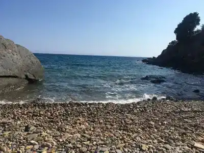 Pinar - 12