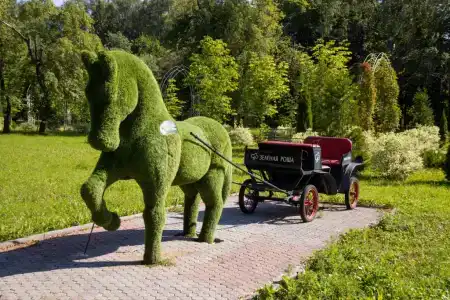 Зеленая роща - 35