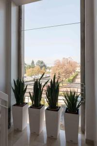 Berghotel - 6
