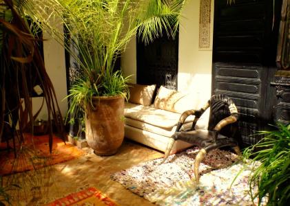 Riad Ta'achchaqa - 2