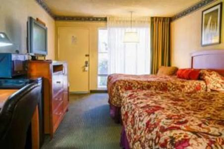 Vagabond Inn - 28