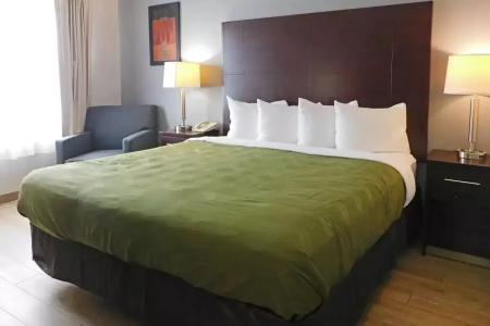 Quality Inn Colchester - 6