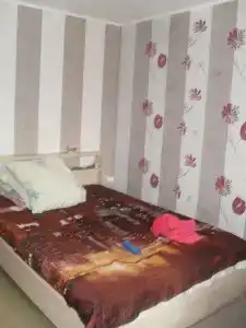 Архара - 1