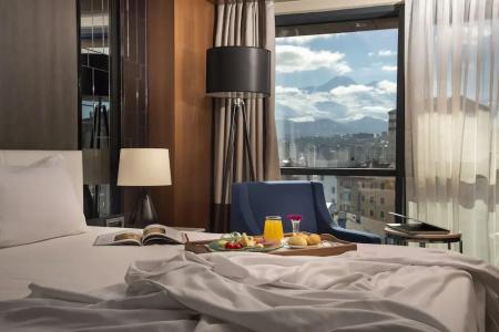 Holiday Inn Kayseri - Duvenonu, an IHG - 49
