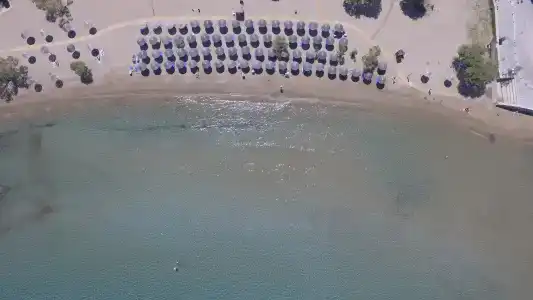 Dolphin Bay Family Beach - 21