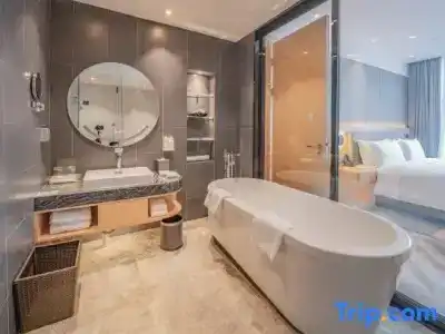 Holiday Inn Xi'An High-Tech Zone, An Ihg - 101