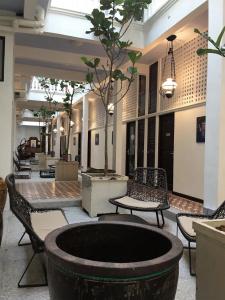 Areca Penang - 25