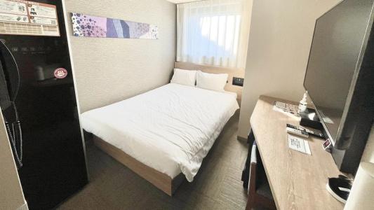 Henn na Tokyo Nishikasai - 30