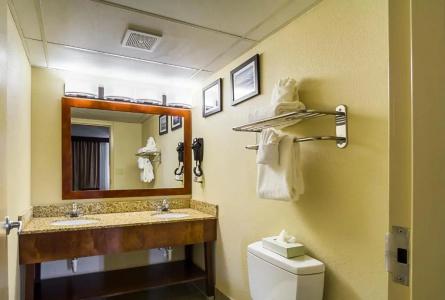 Comfort Inn Downtown - 24