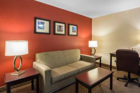 Comfort Inn & Suites Airport South - 42