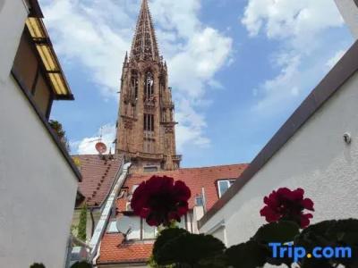 Oberkirch am Münsterplatz - 63