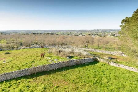 Masseria Pozzo Tre Pile - 42