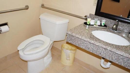 Best Western Plus Airport - Kci East - 65