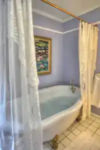 Blue Mountain Mist Country Inn - 77