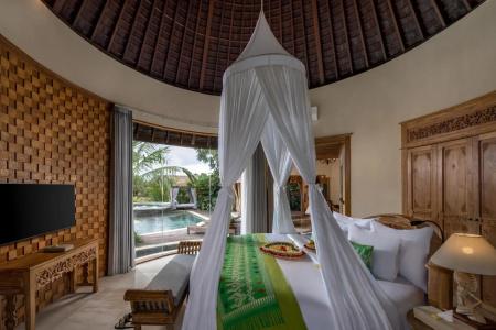 The Alena a Pramana Experience - 18