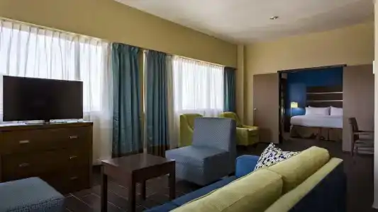 Holiday Inn Houston Downtown, An Ihg - 101