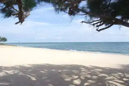 Purimas Beach & Spa - 15