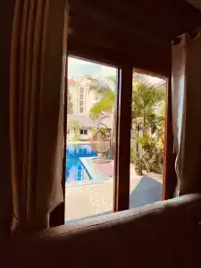 Paradise Land - 118