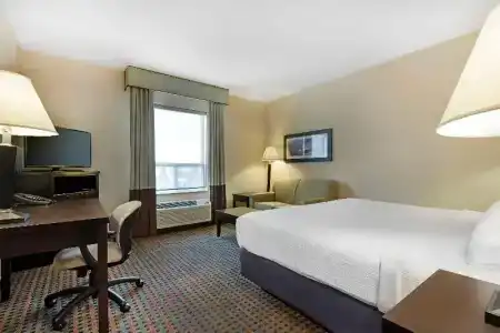 Best Western Pacific Inn - 74