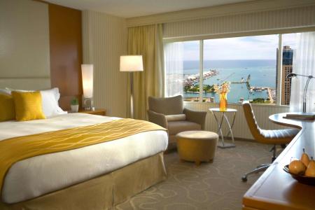 Swissotel Chicago - 45