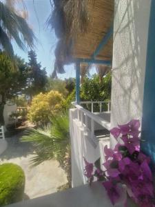 Misket Bodrum - 10