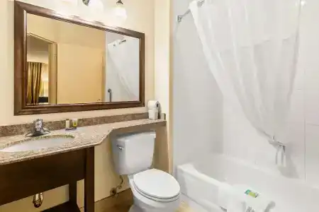 Comfort Inn 290/Nw - 46