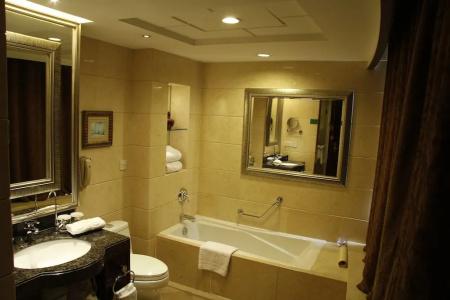 The Royal Marina Plaza Guangzhou - 40