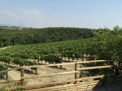 Agriturismo Montegonfoli - 76