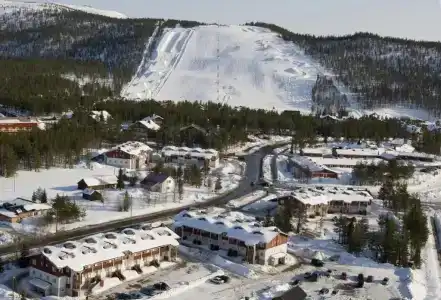 Laplands Sirkantähti - 20