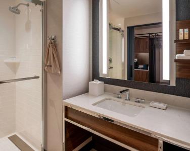 Hilton Garden Inn Austin University Capitol District, Tx - 10