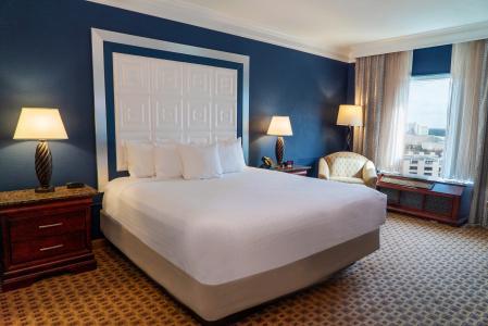 Rosen Plaza Orlando Convention Center - 2