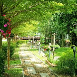 Baan Suan Him Doi - 2