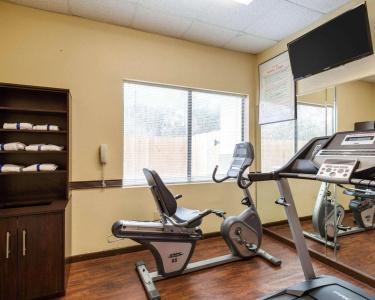 Comfort Suites Bush Intercontinental Airport - 14